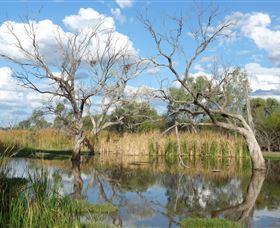 Lagoon Creek - New South Wales Tourism 