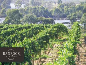 Banrock Station Wine And Wetland Centre - Attractions Sydney