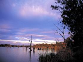 Loch Luna Game Reserve and Moorook Game Reserve - Accommodation VIC