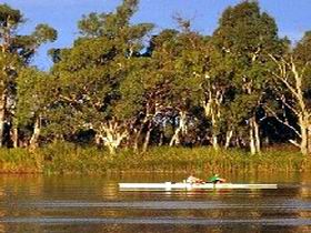 Martin Bend Reserve - Find Attractions