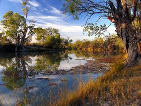 Murray River National Park - Attractions