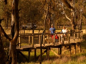 Loxton's Drives Walks and Trails - Accommodation Directory