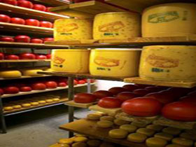 Alexandrina Cheese Company - Attractions Melbourne