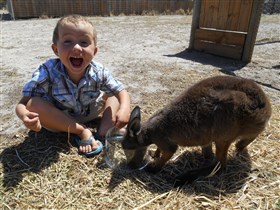 Animal Farm Goolwa - New South Wales Tourism 