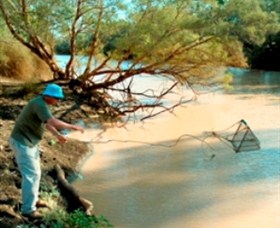 Charleville - Ward River Fishing Spot - Geraldton Accommodation