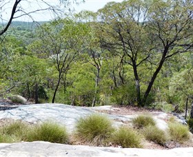 White Mountains National Park - Tourism Cairns