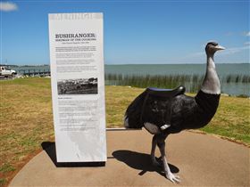 Birdman of the Coorong - Accommodation in Brisbane