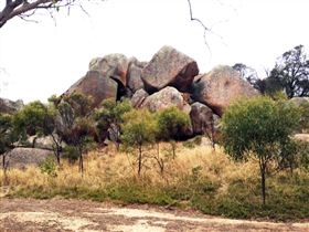 Mount Boothby Conservation Park - thumb 0