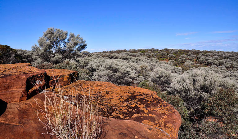 Mount Grenfell Historic Site - Accommodation Broken Hill