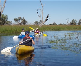 Marsh Meanders - Find Attractions