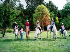 Limestone Coast Horseriding - Attractions Melbourne