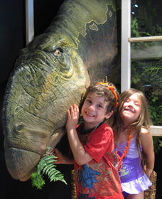 Australian Opal Centre - Find Attractions