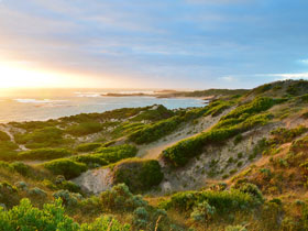 Beachport Conservation Park - Accommodation Adelaide