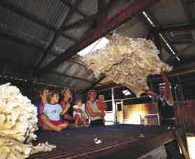 Shear Outback the Australian Shearers Hall of Fame - Find Attractions