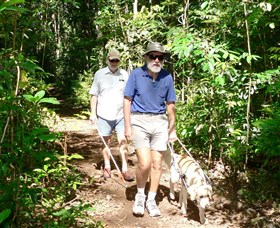 Wongabel State Forest - Tourism Cairns