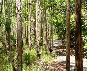 Hallorans Hill Conservation Park - Accommodation Sunshine Coast