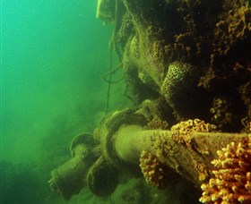 Wreck Diving at Magnetic Island - Attractions