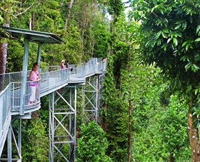 Mamu Tropical Skywalk - Broome Tourism
