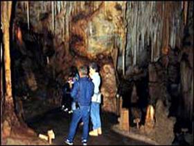 Tantanoola Caves Conservation Park - thumb 0