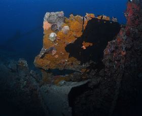 Lady Bowen Dive Site - Accommodation Nelson Bay