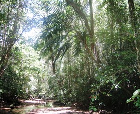 Mount Lewis National Park - Find Attractions