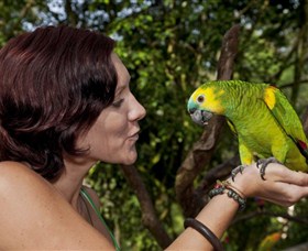 Birdworld Kuranda - New South Wales Tourism 