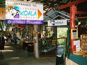 Kuranda Koala Gardens - thumb 3