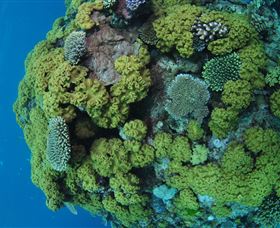 Keeper Reef Dive Site - thumb 0