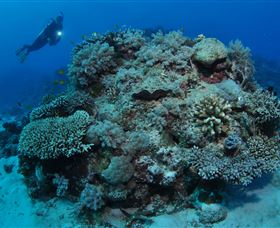 Keeper Reef Dive Site - thumb 1