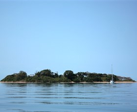 Hope Islands National Park - Accommodation Nelson Bay
