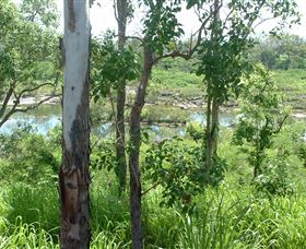 Pioneer River, Marian, Queensland - thumb 1