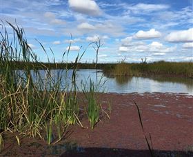 Gwydir Wetlands - Accommodation Bookings