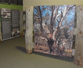 Barmah Forest Heritage And Education Centre - thumb 2