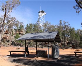 Pilliga Forest Lookout Tower - thumb 0