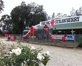 The Big Strawberry - Find Attractions