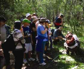 Warrumbungle National Park Discovery Program - Attractions
