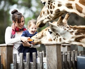 Taronga Western Plains Zoo Dubbo - Attractions
