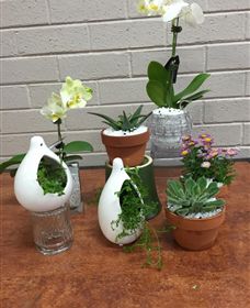 Cobram Florist - Accommodation Adelaide