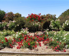 Barooga Botanical Gardens - thumb 2