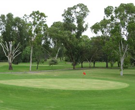 Moree Golf Club - Wagga Wagga Accommodation
