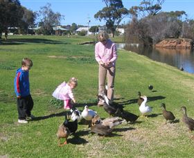 Roy Little Park Merredin - New South Wales Tourism 