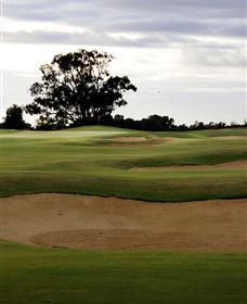 Black Bull Golf Club - Accommodation Adelaide