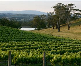 Granite Hills Winery - Attractions Melbourne