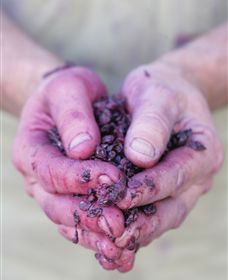 Granite Hills Winery - thumb 3