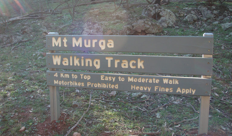 Mount Murga Walking Track - thumb 1