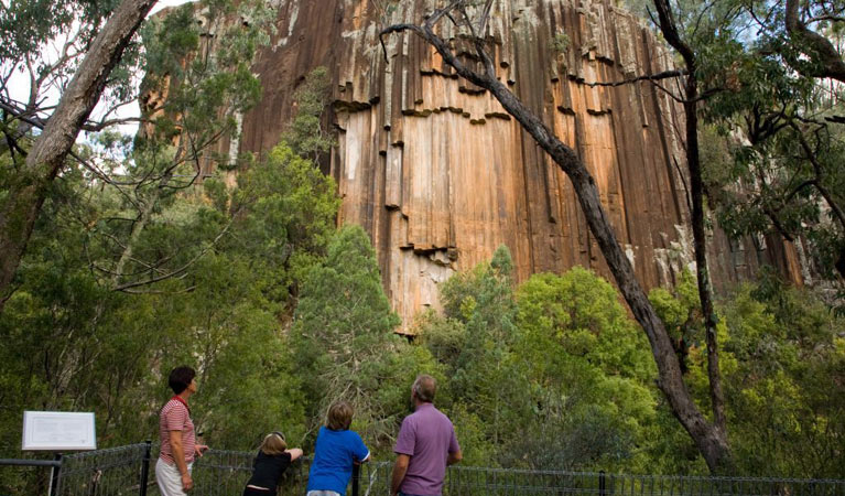 Sawn Rocks walking track - Attractions Melbourne
