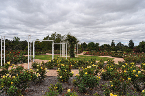 Australian Inland Botanic Gardens - Attractions