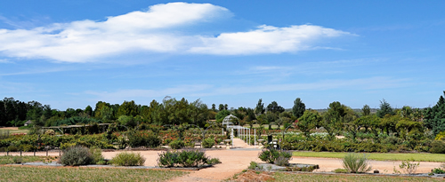 Australian Inland Botanic Gardens - thumb 5