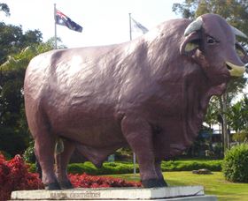 Rockhampton Bull Statues - Accommodation Georgetown