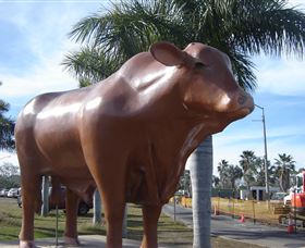 Rockhampton Bull Statues - thumb 3